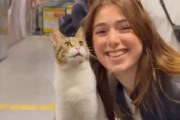 駅の改札に『猫の像』があると思ったら…「これ、本当の猫だ!?」