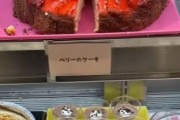 海外「見てるだけで血糖値上がる…」スイパラに行った外国人の動画が話題