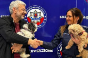 【海外】スイスの男性、国際捜査で誘拐された愛犬たちと再会！感動のストーリーと裏側を知る
