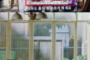 韓国紙「Netflix韓国ドラマ、フランス語字幕に "日本海" 表記」