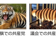 中国人「もし日本共産党が政権を取ったら、日中関係はかつてないほど友好的になるだろうか？」