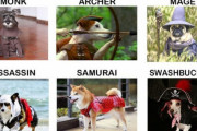 外国人「色んなジョブの犬を集めてみた、俺ならサムライ犬を選ぶ」