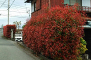 外国人「ごく普通の日本の住宅街が観光地に見えるのは何故だろう？」