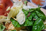 韓国人「昨日食べたハンバーガーからナメクジ出て来たんだけど…」「オーガニック認証100%だねww」