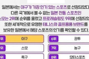 日本のスポーツ人気ランキング発表！2位の意外な競技に韓国ネットユーザーも関心