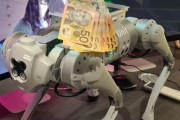 ロボット犬を散歩させていたら見知らぬ女に蹴られた飼い主、賞金をつけSNSで犯人捜し
