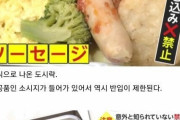 韓国人「日本の成田空港で旅行者から発見される禁止品たちがこちら…なぜか○○○は大丈夫？」