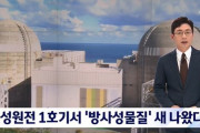 【絶望】韓国人「韓国の原発から人体に有害な放射能やセシウムが20年以上漏れ続けていた事が判明！」　韓国の反応