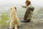 海外「犬にどうやって教えたんだ！？」 少女と戯れる犬の映像に海外がびっくり仰天！　海外の反応