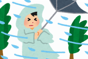 韓国人「日本で大雨の時に見ることができる光景がこちら…」