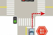 【海外の反応】韓国のドライバーで右折の正しい交通ルールを理解しているのは1%未満　海外の反応「赤で右折することを禁止すべき、一般的にアジアは横断歩道で止まらない」