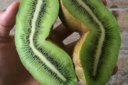 食い物ガチャで大当たりを引いた外国人たち、めちゃくちゃ羨ましい…？
