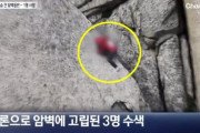 韓国人「ウルサン岩で転落…岩壁にぶら下がった女性を『素手』で救助」→「なぜこんな危険なことをするのか」