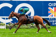 海外の反応　「見る価値のあるレース」欧州最強馬カランダガン、ジャパンカップ参戦！