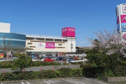 海外「世界中でショッピングモールが減っているのに日本では今もイオンモールが人気なのは何故だろう？」日本の買い物事情に対する海外の反応