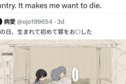 日本人女性「日本にはペド男が多く、ペドな漫画/アニメ/AVが多い。死にたくなってくる！」