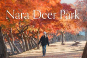 外国人女性が奈良公園をひとり旅！！紅葉の美しさと可愛い鹿は必見！！