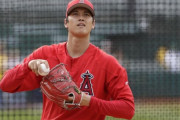 韓国人「MLBスター大谷翔平の腕を見ろ…」