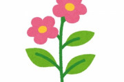 「アパートの床から花が咲いていたんだけど…」1輪の美しい花