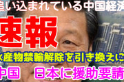 ニチカン朝鮮研究所　動画集　お暇なときに見て学んでね