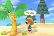 バリ島の大学「学費はヤシの実で払ってくれてもいいだなも！新型コロナで大変な時期だしね！」