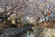 「たまに日本が現実に見えなくなる」親日外国人が風景を愛でるスレ