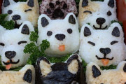 外国人「夫のために日本風のピクニックランチを作ってみた！」