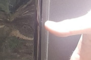 【画像】ドアを開けたら・・・（閲覧注意）