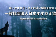 外国人「日本にはオオカミを再導入しようとする勢力がいるらしい」