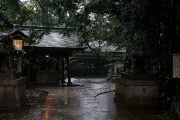 海外「日本は安全でとても落ち着きのある国だよ！」日本に降る夏の雨を外国人が大絶賛！