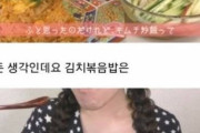 日本人「キムチ炒飯の起源は日本です」「キムチ炒飯は日本料理です」→韓国人「日本は韓国の亜流国家なんだな‥」　韓国の反応