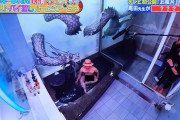 外国人「ワンピースの尾田先生の自宅はこんな感じらしいぞ！」