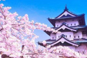 中国人「テレビと違って現実の日本は不便な所だらけ。お前ら、日本の不便な所を語れ」　中国の反応