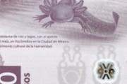 【海外】「メキシコのお金に描かれた愛らしいカエルの秘密：使われずに集められる理由とは？」