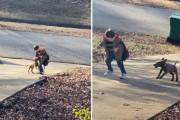 学校から帰ってくるお兄ちゃんをお出迎え！子犬と男の子の絆に癒やされる♪