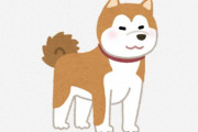 海外「飼い主の生死を気にしないから」「ツンデレなんだね（笑）」秋田犬をおすすめしない理由