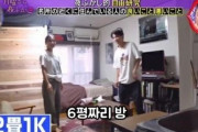 韓国人「ソウルの狭小住宅をすべて圧倒する日本の住宅の近況」