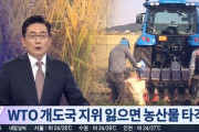 韓国人「大韓民国は農業が潰れれば、国も滅びる」トランプ大統領の途上国特恵剥奪で、韓国の農産物分野が打撃を受ける可能性が高い‥　韓国の反応