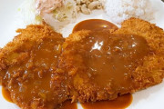 韓国人「韓国のトンカツに対する日本人の感想」