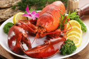 超BIG！日本の屋台で6万円の伊勢海老を♪「美しい生き物」「気持ち悪いよ!」海外の反応
