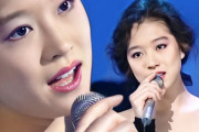 韓国人「これ1980年代の日本の歌なのだが、知ってる人いる？」