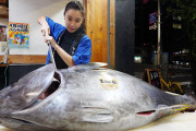 外国人「超美人のマグロ解体ショーでも見て週末を乗り切ろうぜ」