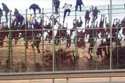 【海外の反応】イスラエル人「スペインの市民権を申請したら拒否された…」