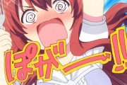 【海外】なんでアニメオタクって他人の趣味嗜好を批難して、ケンカばかりしているの？