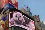 韓国人「日本の街頭ビジョン広告がすごい」