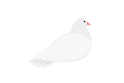 日本の「やたら妖艶なハト」が色っぽくて美しい！手塚治虫の火の鳥みたい！【台湾人の反応】