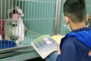 保護犬に本の読み聞かせをする少年。さらなる創造力を生かし新しい家族探しをお手伝い！