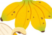 海外「さすが日本！」日本があの世界的に人気の料理を魔改造して海外からコメントが殺到中