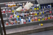 韓国人「韓国は犬ゴミ国家ではないですか？」その理由がこちら‥　韓国の反応