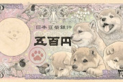 日本豆柴銀行のあの紙幣が海外掲示板で話題になってる件ｗｗｗ「T字ポーズしてるやつがいるんだが」　　海外の反応